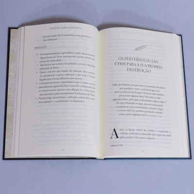 image_245c43d5-a988-43d5-9e3b-a0c3054f87ce