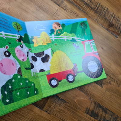 image_c3a02c6d-9a88-4481-93da-299024e11176