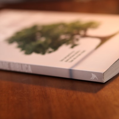 image_255f4061-7abd-486c-a1c9-1128c140f841