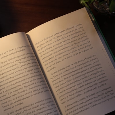 image_7710fe42-c577-4d74-8ff2-2107cd6c6ae3