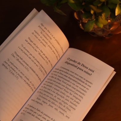 image_82e70cd1-e67e-49dd-8b7c-84c3260e06d1