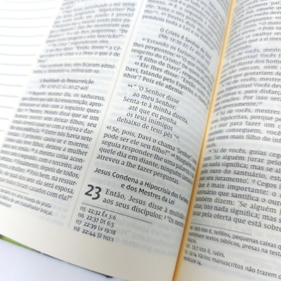 image_4aaaf35b-f485-46aa-8bc8-d4909690922a