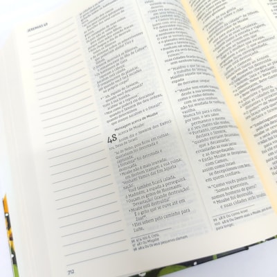 image_46366a6d-23ef-4a3d-aad0-cd8ea62b51a4