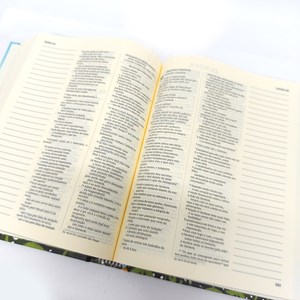 Sua Bíblia Alegria Plena | NVI | Espaço Anotações | Capa Dura