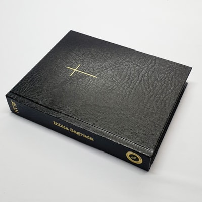 image_e569f60e-e58d-4f1c-a5e7-6429c79a8dd8