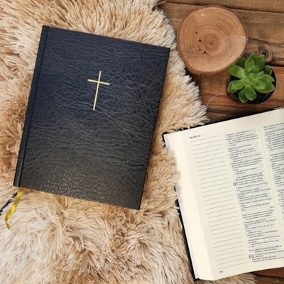 image_c103f1ea-820f-4b73-8e17-f21884ee1a3c