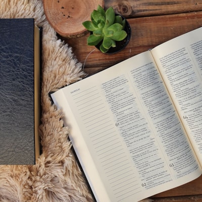 image_120a0d38-7e69-456b-b100-b39abbc02a47