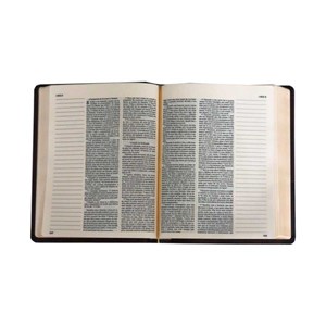 Sua Bíblia | Letra Normal | NVI | Espaço Anotações | Capa Marrom