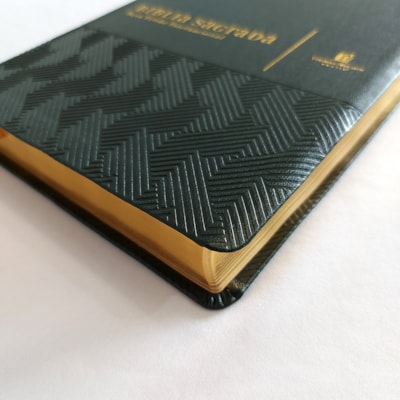 image_28ab2583-a536-4768-9d98-f73e53856348