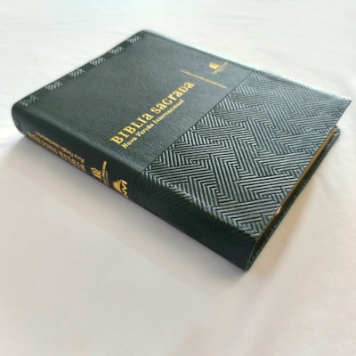 image_6f1cc1fc-5796-4faa-907c-583e2097020f