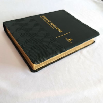 image_53c1d4d5-7cbc-4943-9e2d-231cb94d12a2