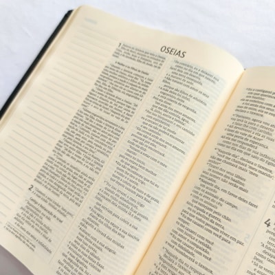 image_5bd067e2-6f9a-4066-b127-ca6474331b71