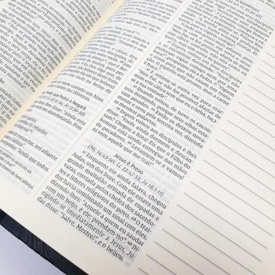 image_eed47eab-6f52-412f-87bd-65c17b98a065