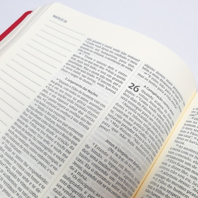 image_859aa490-84da-49bc-a53e-ad13ded5cfdf