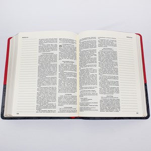 Sua Bíblia | Letra Normal | NVI | Espaço Anotações | Capa Vermelha e Cinza