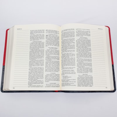 image_e01d4fd8-df42-4655-96b6-f1e60a7d3258