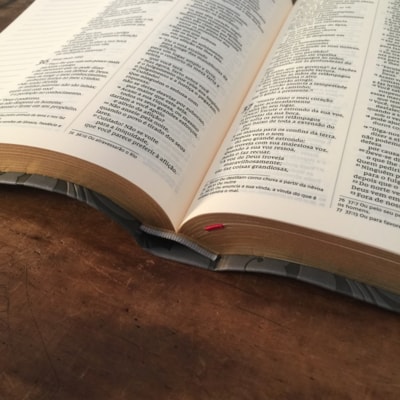 image_cf7daa52-d382-4949-a63d-d266f41f4268