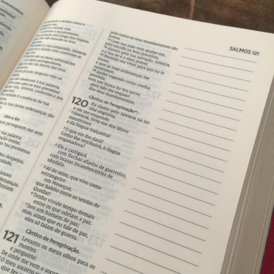 image_dd2d39f3-94e8-45f3-9091-9d7f4f9ae7e4