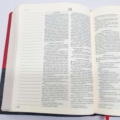 image_81784bc3-8d13-4ee2-b713-6109c4aeeccd