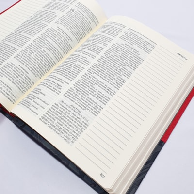 image_16613b67-9979-4c46-b745-4e5149129edd