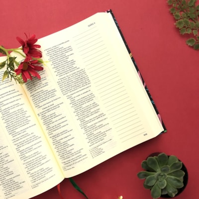 image_5c203ed8-759b-4a92-9977-f3986df1fe1e