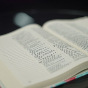 Sua Bíblia Novo Coração | NVI | Espaço Anotações | Capa Dura