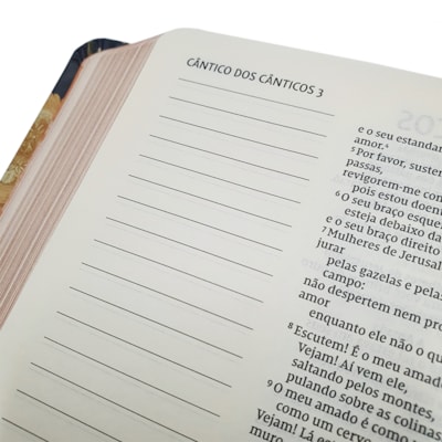 image_76a31d27-dbbe-4878-8365-42b6f5d3996a