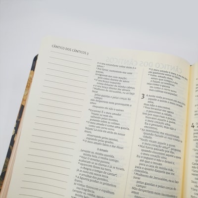 image_4d7b7651-6629-4d95-be4a-dfc7ef6a31ec