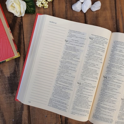 image_89720e1a-1a3d-4c42-999b-4721bac790f0