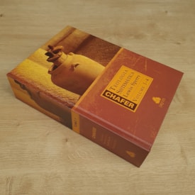 Segunda imagem do produto Teologia Sistemática de Chafer | Lewis Sperry | 2 Volumes