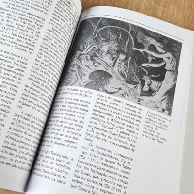 image_5219c313-98de-4ade-b9fd-83836b3016d9