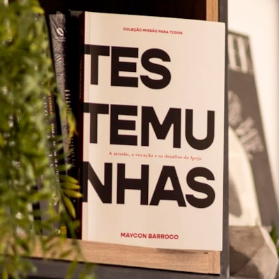 image_53b88501-b371-47d9-9094-3b27c1ad6bdd