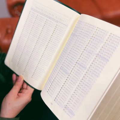 image_b5f19a90-7042-4dc8-b05a-fd1dcb81a663