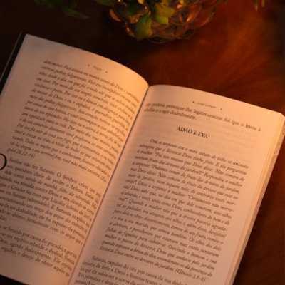 image_77d4d640-b8f9-4c4f-b399-2e4a288ba3b9