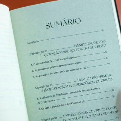 image_6f560ed2-5ca1-4ddd-a6d0-aedb427d8d49