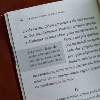 image_b14a841c-13af-49ac-9d0a-2f06eff527bb