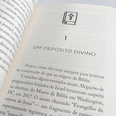 image_c0637353-f949-4cf6-9d47-dc6bd4351839