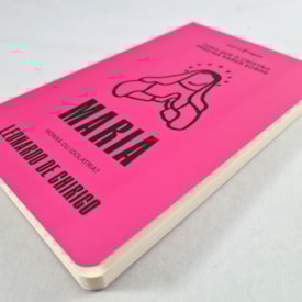 Segunda imagem do produto Tudo Que o Cristão Precisa Saber Sobre Maria | Leonardo De Chirico