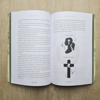 image_43395f86-9c9c-4d25-896d-03d87df2b47a