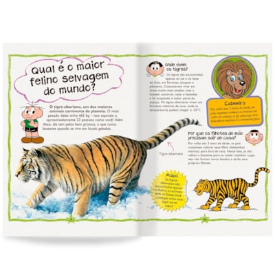 image_18ade4b4-621f-4908-ab3b-f096df7ae235