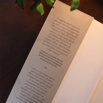 image_40a980ac-dec1-416c-89dd-35fa842ab0b9