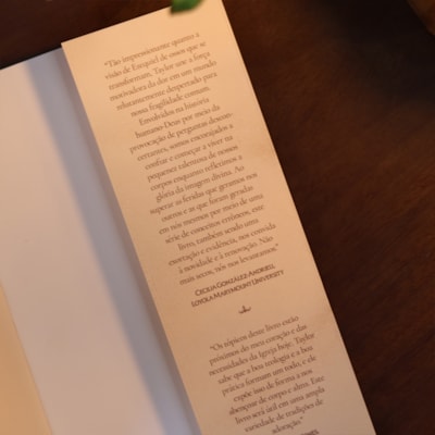 image_c0b778fb-06f5-4775-a880-64578a89d27d