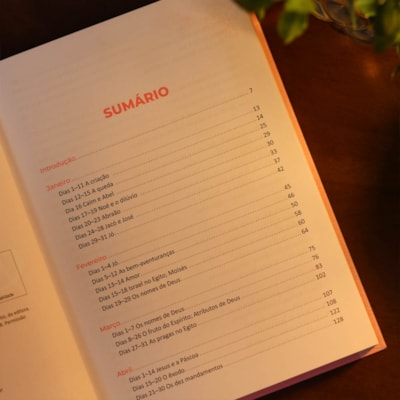 image_1bcda486-0d45-4913-ae09-a6d04d20d8ea