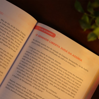 image_a07068a5-4d9b-4731-b2d4-27bc2fd31281