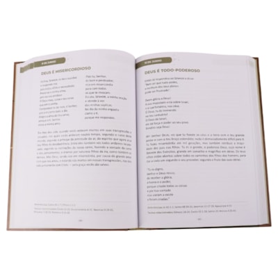 image_ca9d3cf1-0fed-4b07-aebe-d6843d7ceb22