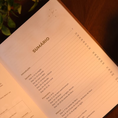 image_f5175537-8eb9-4b0a-b1af-f23f707e527f