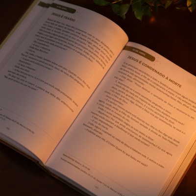 image_98aed131-a3af-48c8-b38e-a0893c6541e6