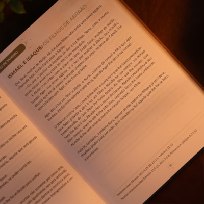 image_e8099274-e545-403b-9113-2a4e8e030cdd