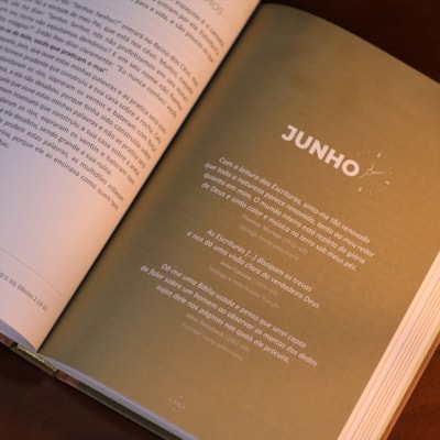 image_55bb6dc6-2035-47cb-91fc-2087090c88f7