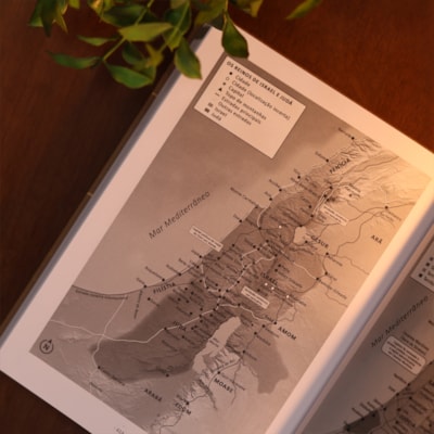 image_0d917441-eb4e-4298-af9e-2b9dbcd56f30